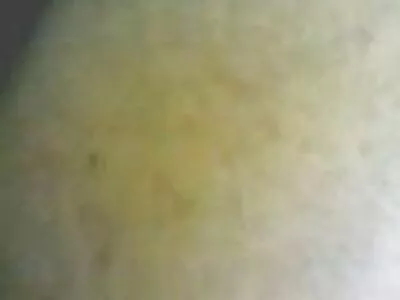Asa Akira türk amatör sex ile oynanan onu kedi alır ve bir oral seks verir
