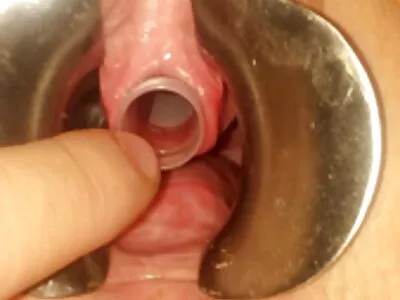 Minik esmer kız Cleo Vixen kaslı amatör kadın pornoları izle bir adam tarafından becerdin alır